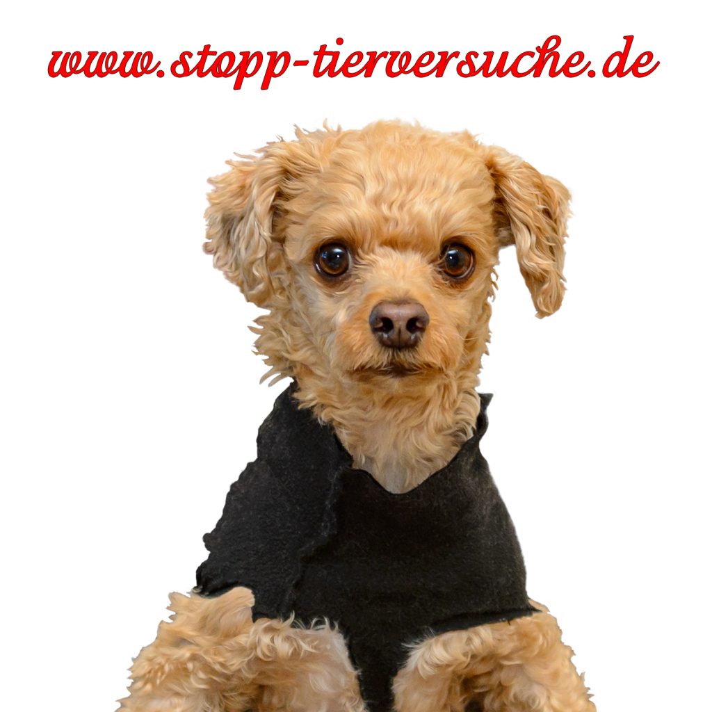 TIERSCHUTZ RESERVIERT 2025/4